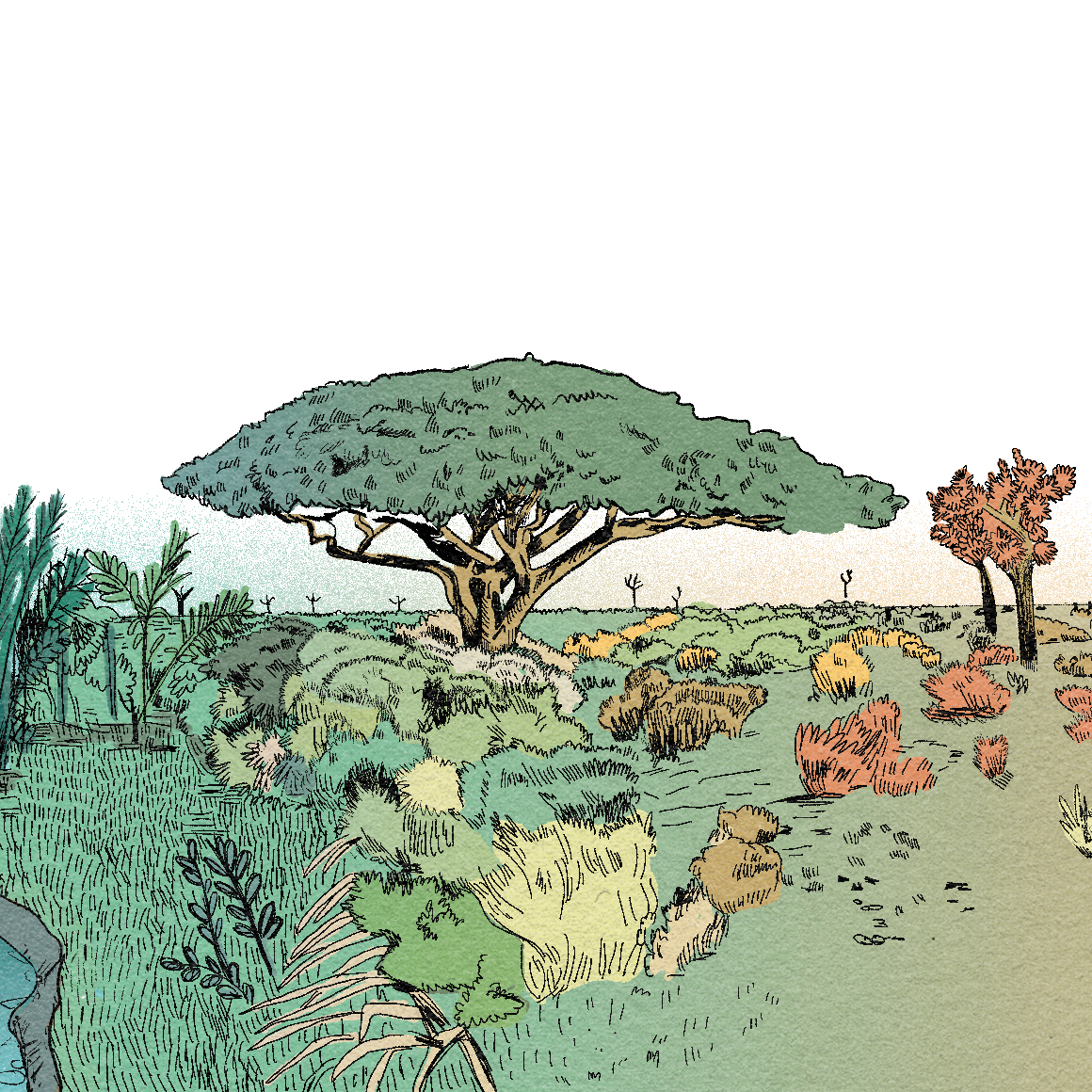 Sahara vert